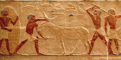 âne battu - vers 2400 av-jc