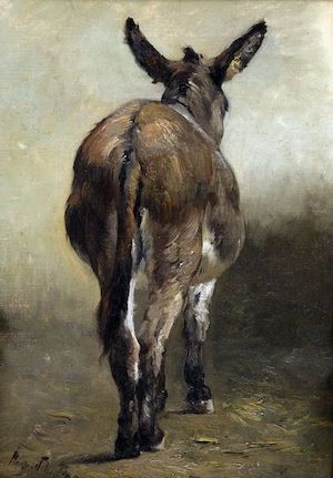 Henry Schouten (1864-1927) - Study of a donkey, huile sur toile - 27 x 39 cm