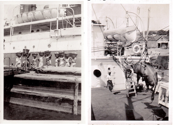 Voyages transatlantiques