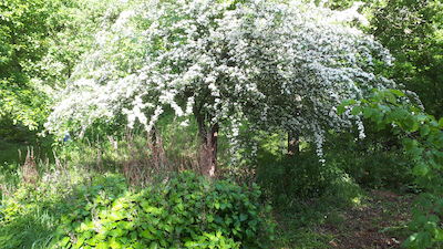 Le jardin aux Crouteaux